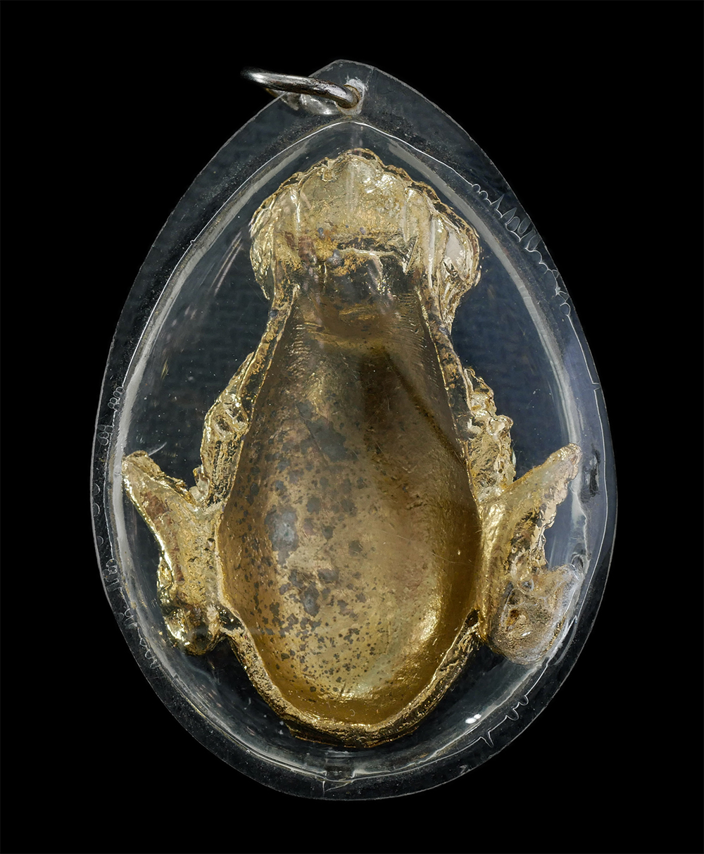 21Jul24 (6)p.jpg - เศียรปู่ฤษี หลวงปู่หงษ์ พรหมปัญโญ แห่งสุสานทุ่งมน วัดเพชรบุรี อ.ปราสาท จ.สุรินทร์ เกจิมากเมตตาแห่งเมืองสุรินทร์ ปี2550 เนื้อกะไหล่ทองลงยา พระเก่าสวย  | https://kamulet.in.th